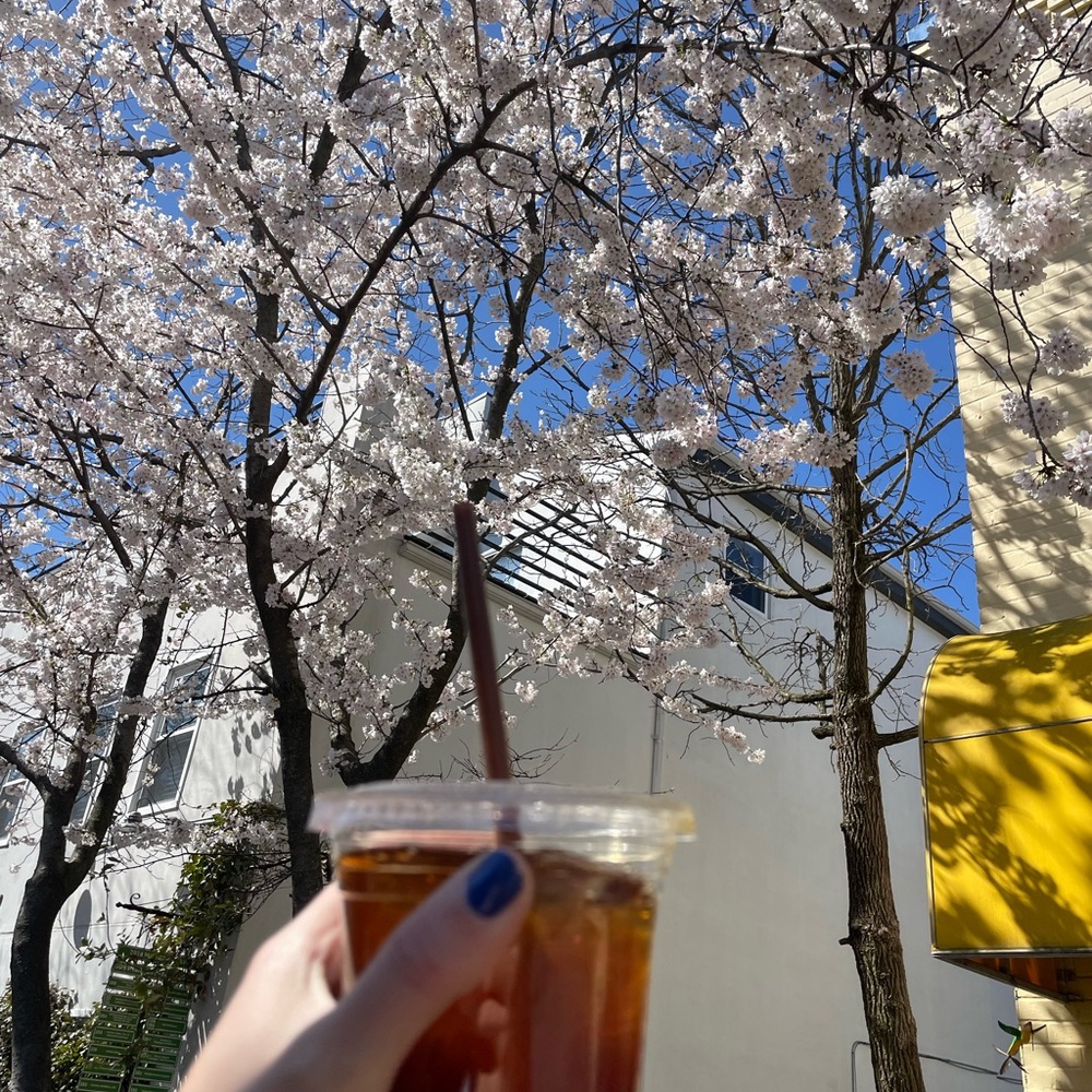 🌞YAY Spring - Picture 3 of 8